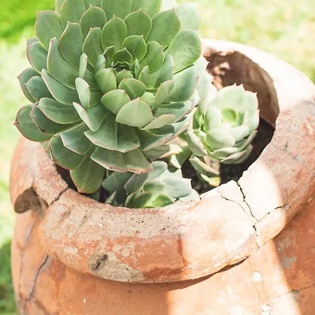 Paraiso En La Playa - Heated Pool Service 빌라 *